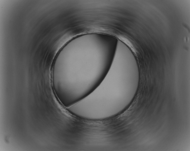 X0000091991047200709061216