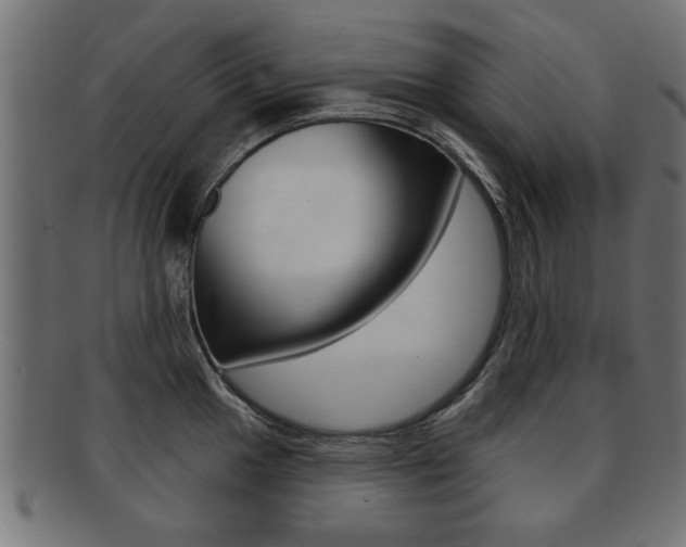 X0000091991049200709061216