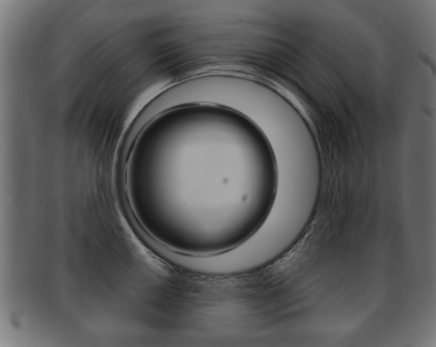 X0000091991050200709061216