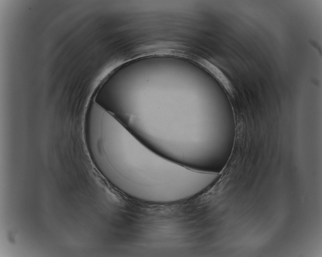 X0000091991051200709061216