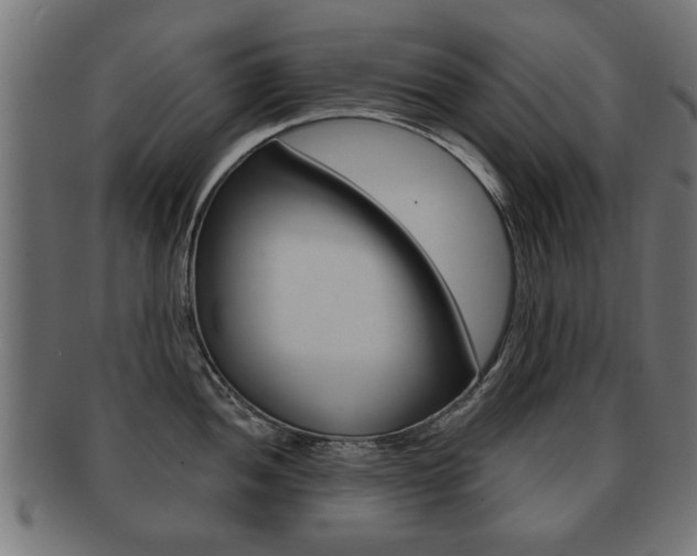 X0000091991052200709061216