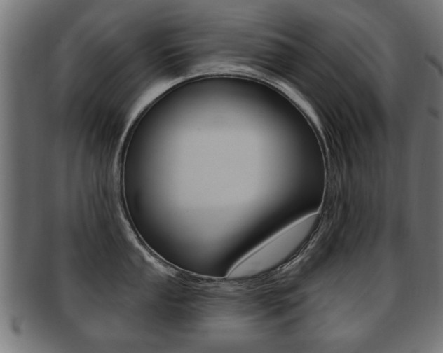 X0000091991053200709061216