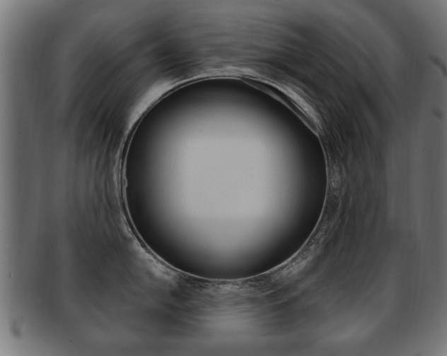 X0000091991054200709061216