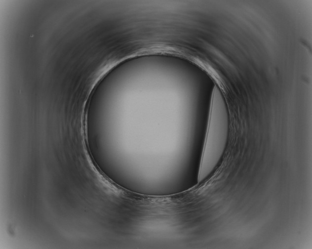 X0000091991055200709061216