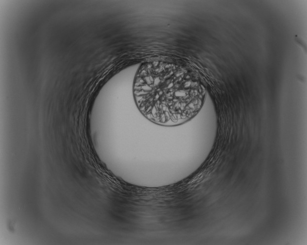 X0000091991057200709061216