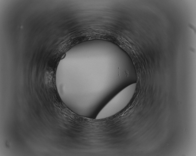 X0000091991059200709061216