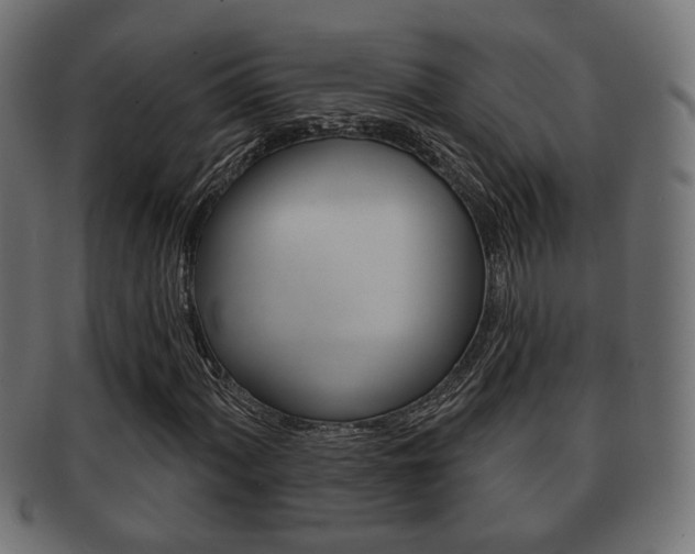 X0000091991060200709061216