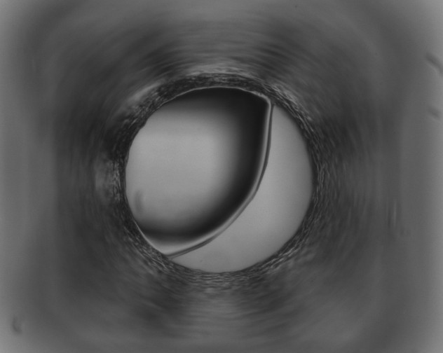 X0000091991062200709061216
