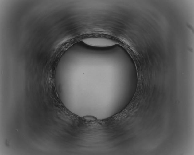 X0000091991063200709061216