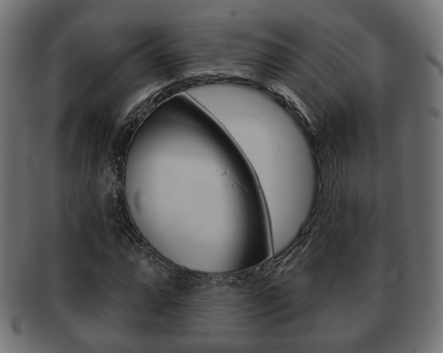 X0000091991064200709061216