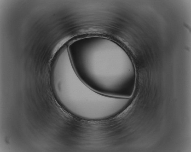 X0000091991066200709061216