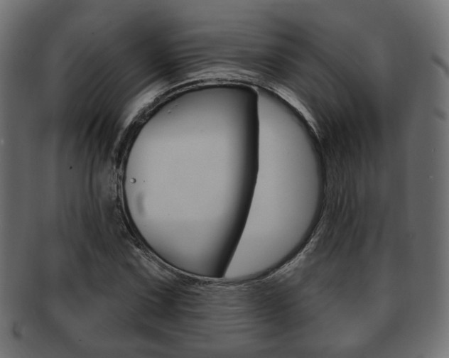 X0000091991067200709061216