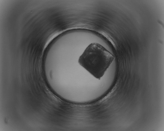 X0000091991069200709061216