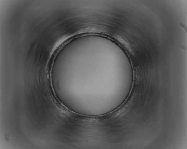 X0000091991070200709061216
