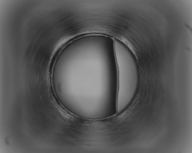 X0000091991072200709061216