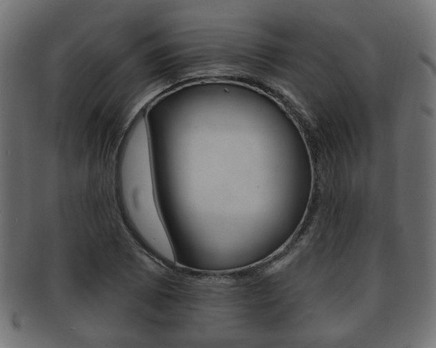 X0000091991073200709061216