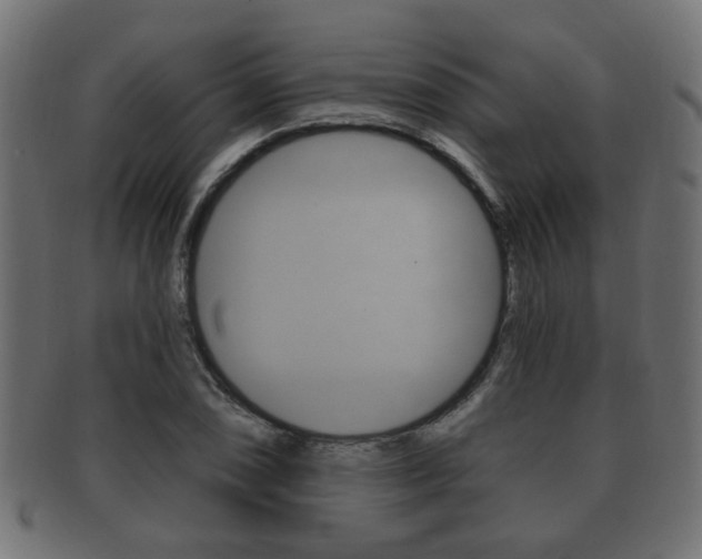 X0000091991074200709061216