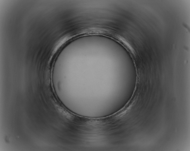 X0000091991075200709061216