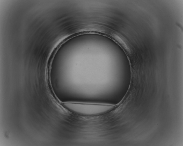 X0000091991076200709061216