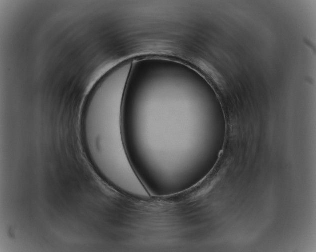 X0000091991077200709061216
