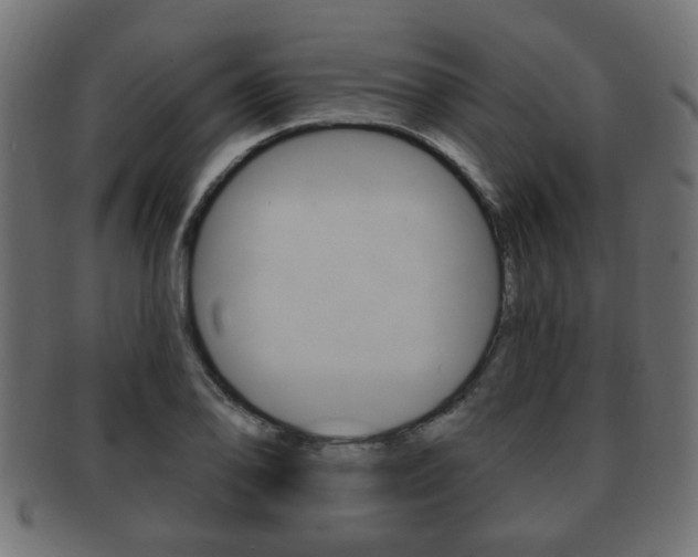 X0000091991078200709061216