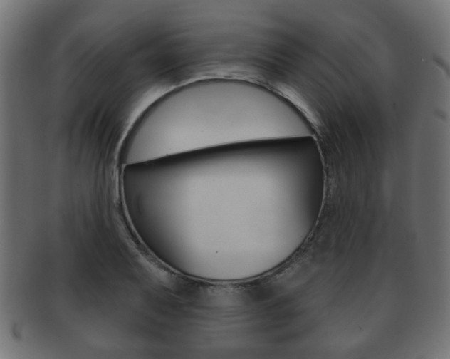 X0000091991079200709061216