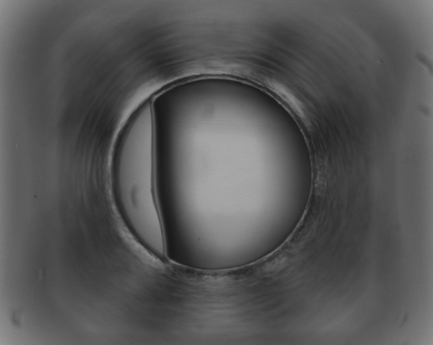 X0000091991080200709061216
