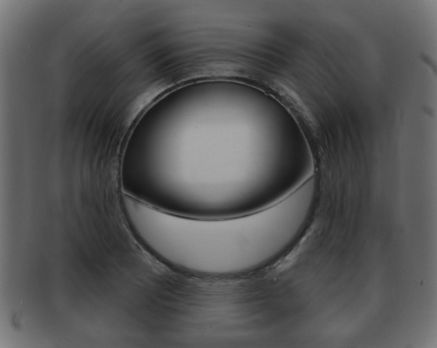 X0000091991081200709061216