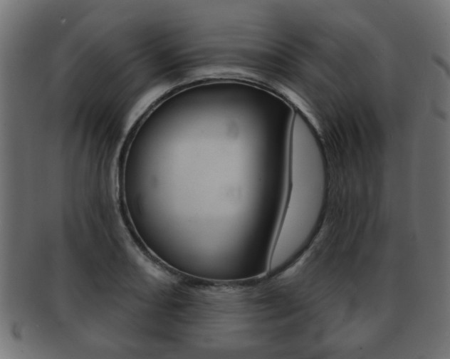 X0000091991082200709061216