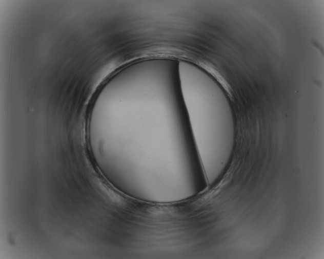 X0000091991083200709061216