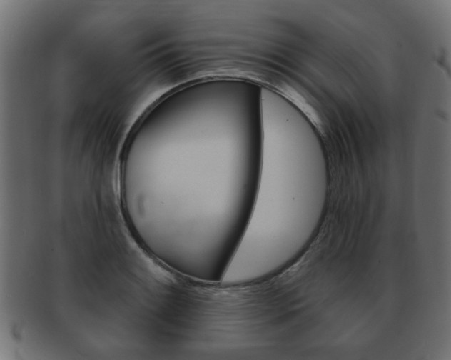 X0000091991084200709061215