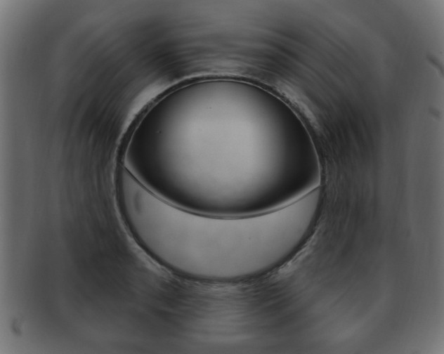 X0000091991085200709061215