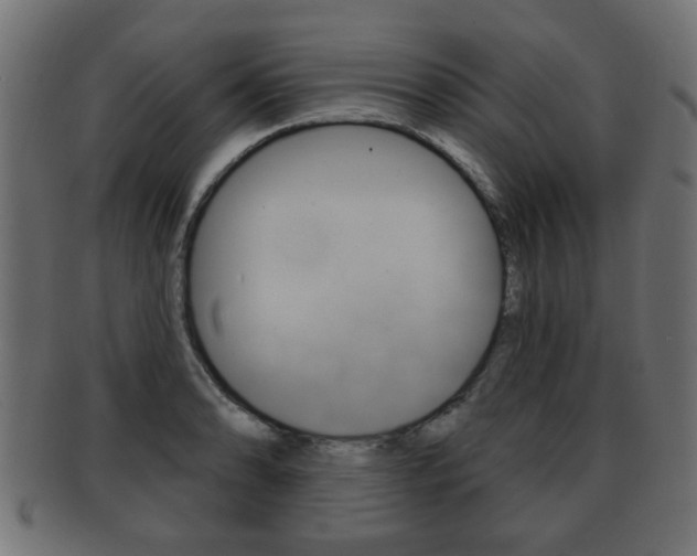 X0000091991086200709061215
