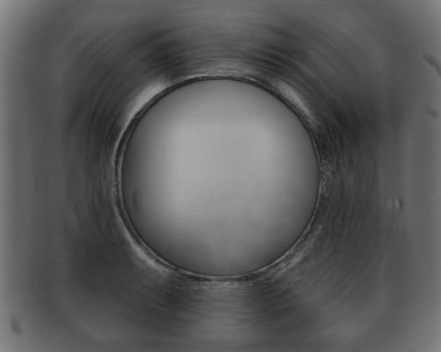 X0000091991087200709061215