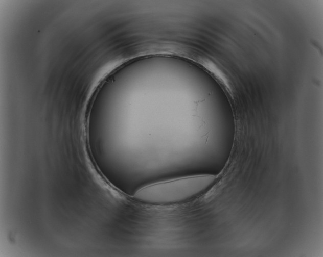X0000091991088200709061215