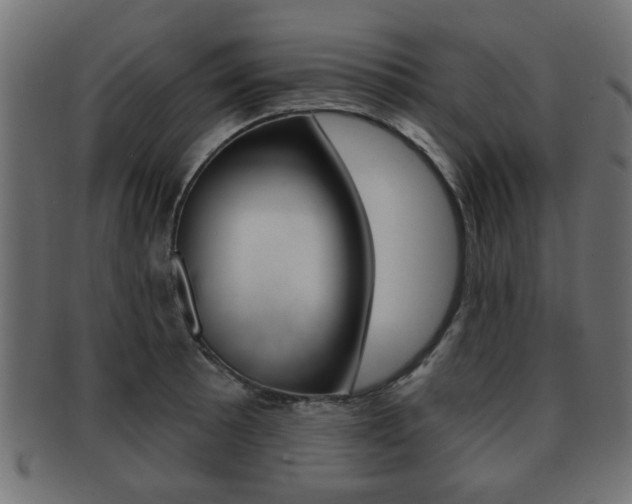 X0000091991089200709061215