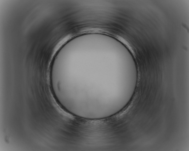 X0000091991090200709061215