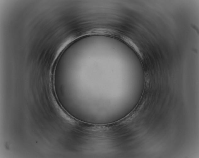 X0000091991091200709061215