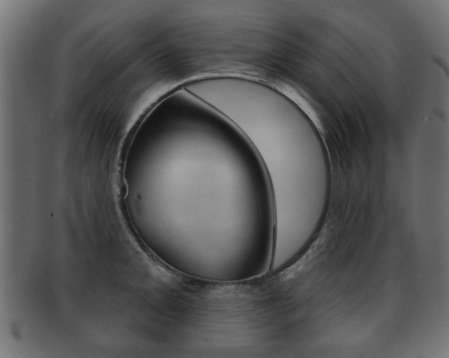 X0000091991093200709061215