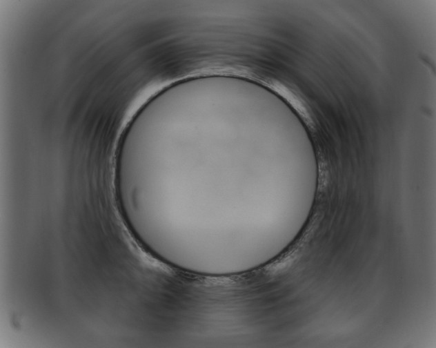 X0000091991094200709061215