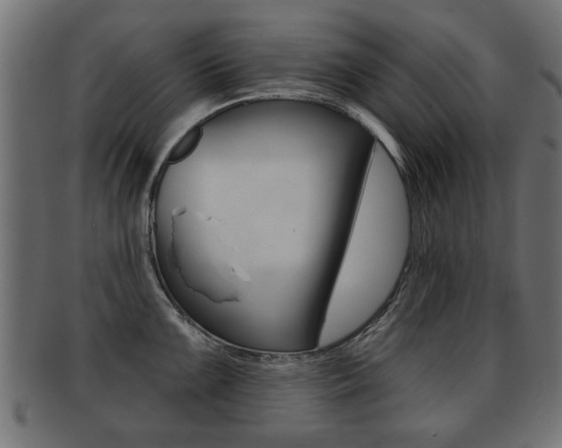 X0000091991099200709061215
