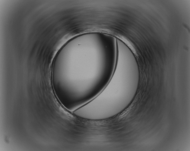 X0000091991102200709061215