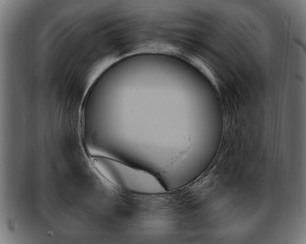 X0000091991103200709061215