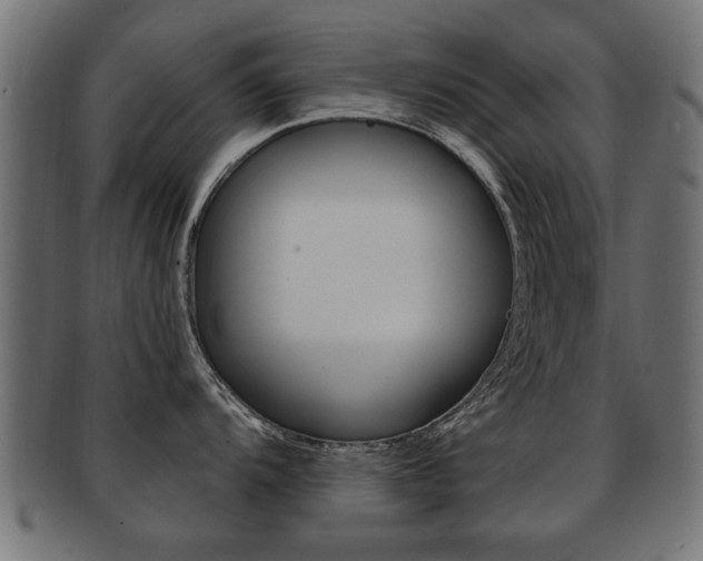 X0000091991104200709061215