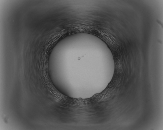 X0000091991105200709061215