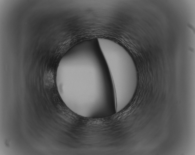 X0000091991106200709061215