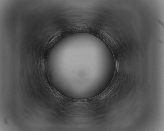X0000091991107200709061215