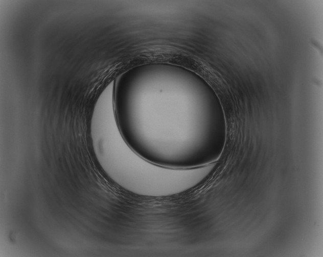 X0000091991108200709061215
