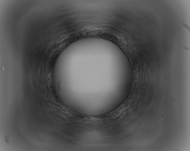 X0000091991109200709061215