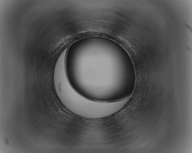X0000091991110200709061215